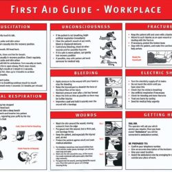 Nsc first aid quick guide