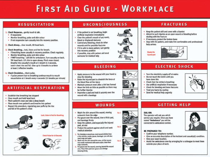 Nsc first aid quick guide