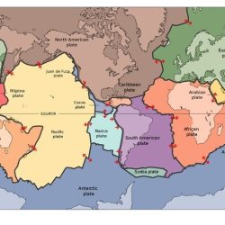 Earth systems and resources apes