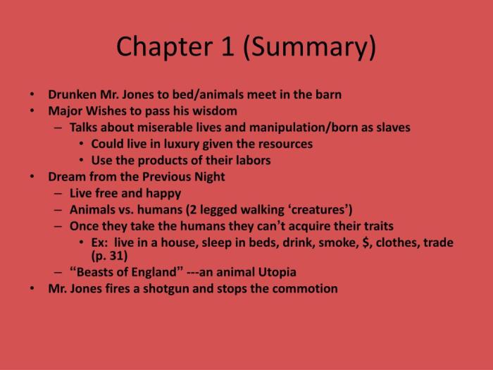 The last cuentista chapter summary