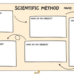 Exploring the scientific method worksheet