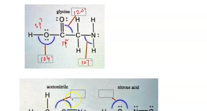 Identify the approximate bond angles in each molecule.