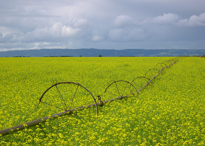 Farmland protection policy ap human geography