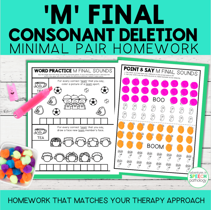 Minimal pairs for final consonant deletion