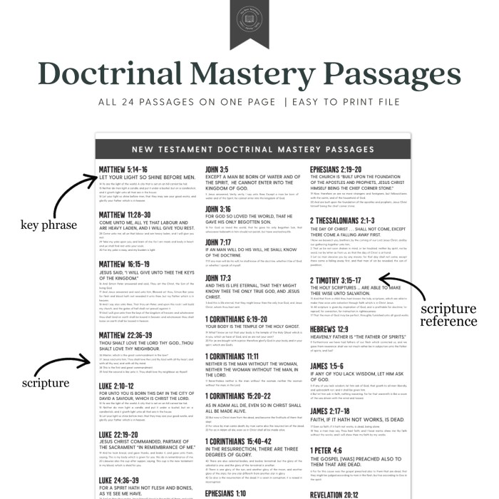 New testament doctrinal mastery assessment 1