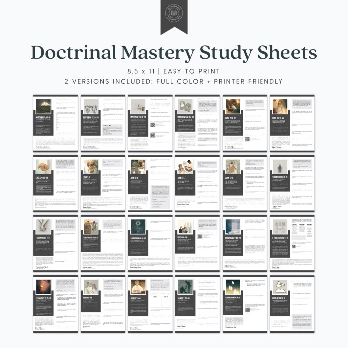 New testament doctrinal mastery assessment 1