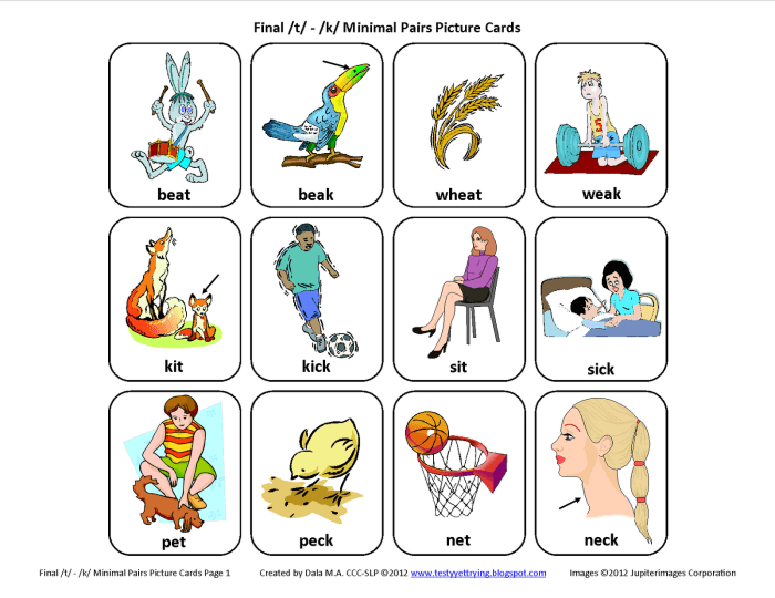 Minimal pairs for final consonant deletion