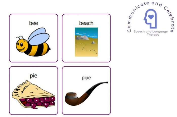 Minimal pairs for final consonant deletion