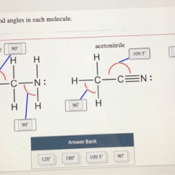 Identify the approximate bond angles in each molecule.