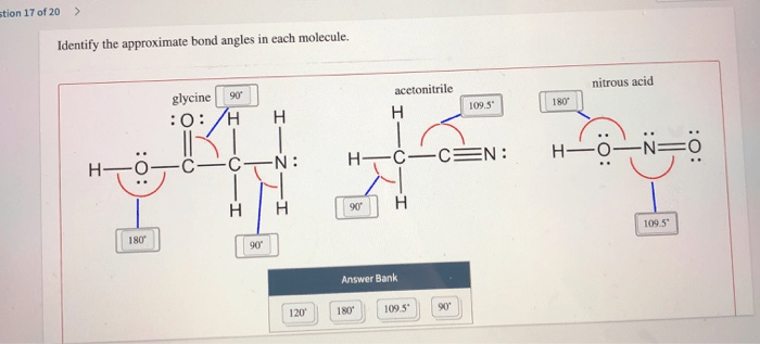 Identify the approximate bond angles in each molecule.